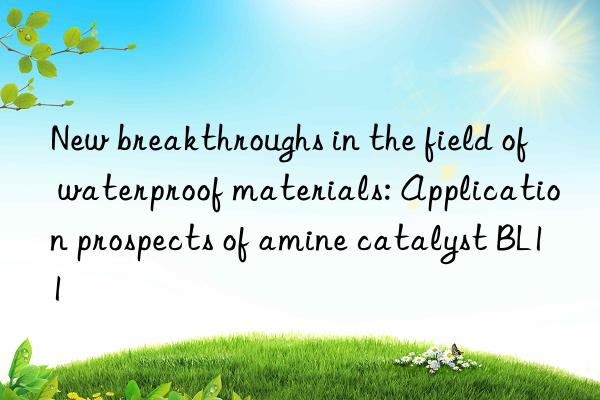new breakthroughs in the field of waterproof materials: application prospects of amine catalyst bl11