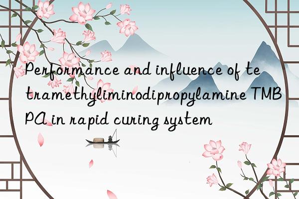 performance and influence of tetramethyliminodipropylamine tmbpa in rapid curing system