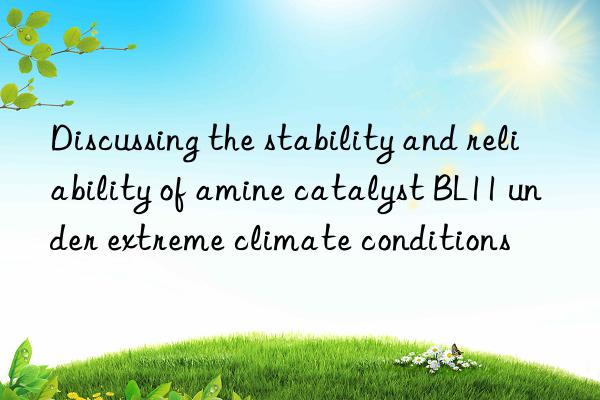 discussing the stability and reliability of amine catalyst bl11 under extreme climate conditions