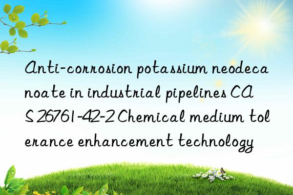 anti-corrosion potassium neodecanoate in industrial pipelines cas 26761-42-2 chemical medium tolerance enhancement technology