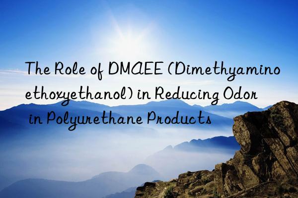 the role of dmaee (dimethyaminoethoxyethanol) in reducing odor in polyurethane products