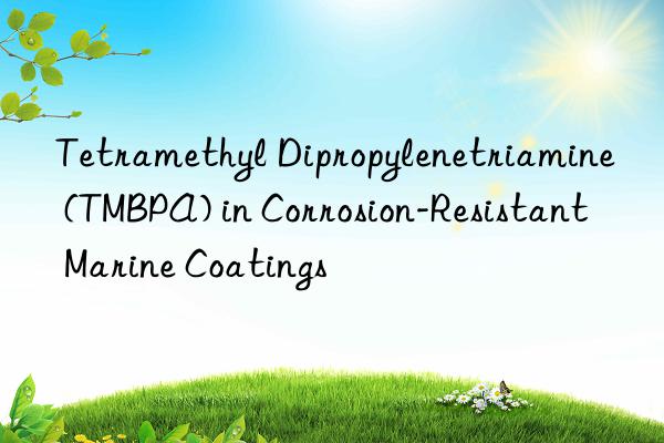 tetramethyl dipropylenetriamine (tmbpa) in corrosion-resistant marine coatings