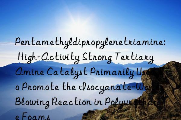 Pentamethyldipropylenetriamine: High-Activity Strong Tertiary Amine Catalyst Primarily Used to Promote the Isocyanate-Water Blowing Reaction in Polyurethane Foams