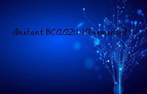 instant bcaa2:1:1(fermented)