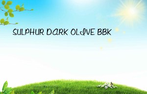 sulphur dark olive bbk