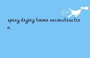 spray drying tower reconstruction