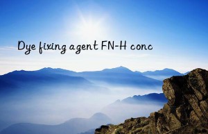 dye fixing agent fn-h conc