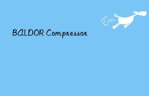 baldor compressor