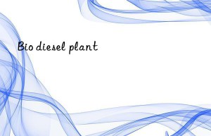 bio diesel plant