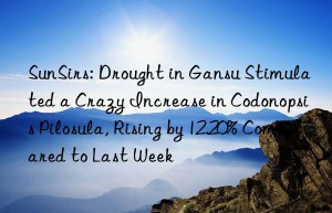 sunsirs: drought in gansu stimulated a crazy increase in codonopsis pilosula, rising by 12.20% compared to last week