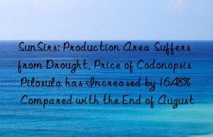 sunsirs: production area suffers from drought, price of codonopsis pilosula has increased by 16.48% compared with the end of august