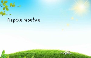 repair mortar