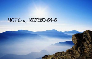 mots-c, 1627580-64-6