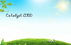 catalyst a300