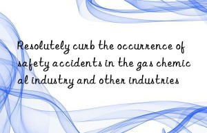 resolutely curb the occurrence of safety accidents in the gas chemical industry and other industries