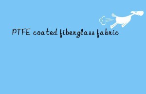 ptfe coated fiberglass fabric