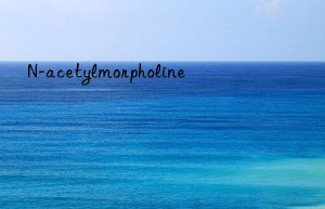 n-acetylmorpholine