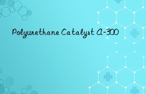 polyurethane catalyst a-300
