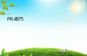 pn 4875