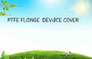 ptfe flange  device cover