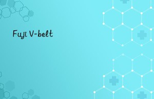 fuji v-belt