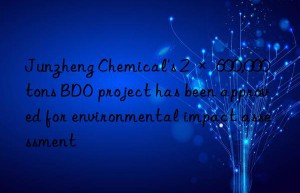 junzheng chemical’s 2 × 600,000 tons bdo project has been approved for environmental impact assessment