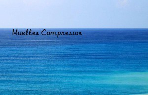 mueller compressor