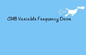 amb variable frequency drive