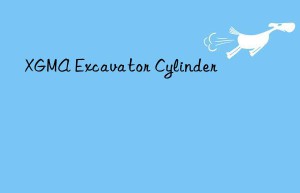 xgma excavator cylinder
