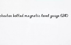 rochester bolted magnetic level gauge 6240
