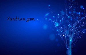 xanthan gum