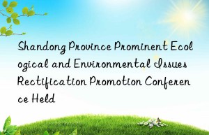 shandong province prominent ecological and environmental issues rectification promotion conference held