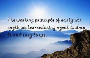 the working principle of early-strength water-reducing agent is simple and easy to use.