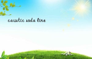 caustic soda line