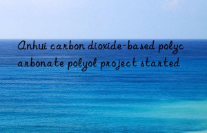 anhui carbon dioxide-based polycarbonate polyol project started