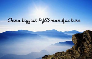 china biggest py83 manufacture