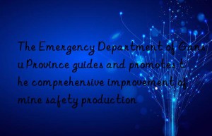 the emergency department of gansu province guides and promotes the comprehensive improvement of mine safety production