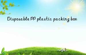 disposable pp plastic packing box