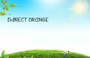 direct orange