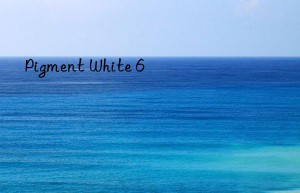 pigment white 6
