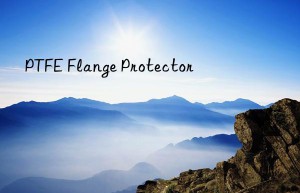 ptfe flange protector