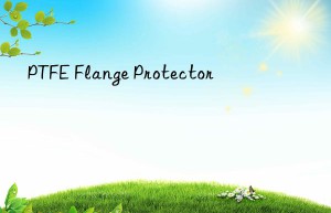 ptfe flange protector