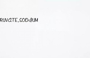 pyruvate,sodium