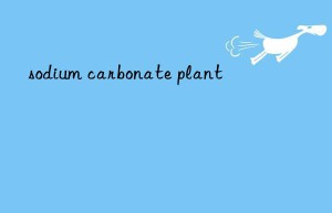 sodium carbonate plant