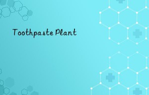 toothpaste plant