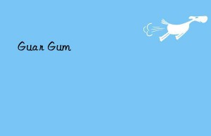 guar gum