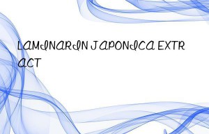 laminarin japonica extract