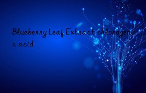 blueberry leaf extract chlorogenic acid