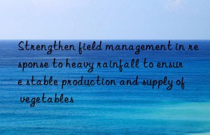 strengthen field management in response to heavy rainfall to ensure stable production and supply of vegetables