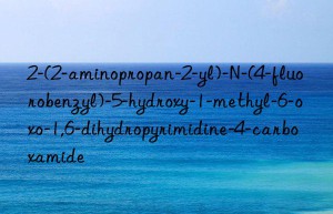 2-(2-aminopropan-2-yl)-n-(4-fluorobenzyl)-5-hydroxy-1-methyl-6-oxo-1,6-dihydropyrimidine-4-carboxamide